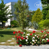 фото из отзыва ID 2278674