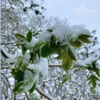 фото из отзыва ID 2278705