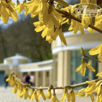 фото из отзыва ID 2278705