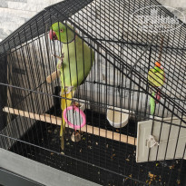 фото из отзыва ID 2278811