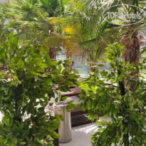 фото из отзыва ID 2278811