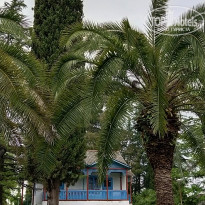 фото из отзыва ID 2278833