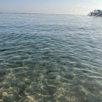 фото из отзыва ID 2278868