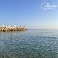 фото из отзыва ID 2278868