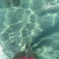 фото из отзыва ID 2278868