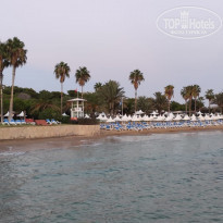 фото из отзыва ID 2278883