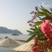 фото из отзыва ID 2278968