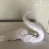 фото из отзыва ID 2278878