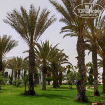 фото из отзыва ID 2279009