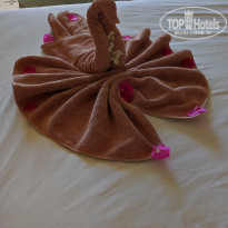 фото из отзыва ID 2279009