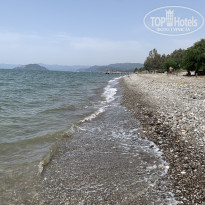 фото из отзыва ID 2279071