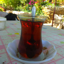 фото из отзыва ID 2279016