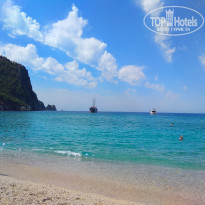 фото из отзыва ID 2279016