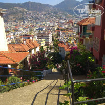 фото из отзыва ID 2279016