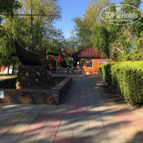 фото из отзыва ID 2279025