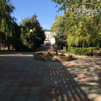 фото из отзыва ID 2279025