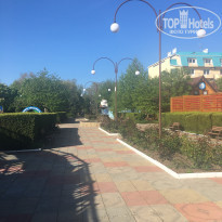 фото из отзыва ID 2279025