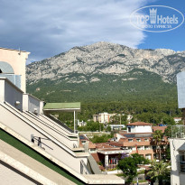 фото из отзыва ID 2279148