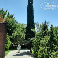 фото из отзыва ID 2279105