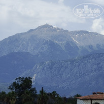 фото из отзыва ID 2279033