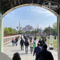 фото из отзыва ID 2279172