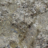 фото из отзыва ID 2279175