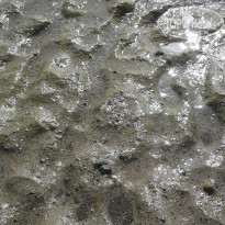 фото из отзыва ID 2279175