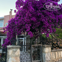 фото из отзыва ID 2279184