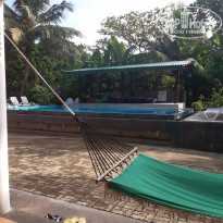 фото из отзыва ID 2279261