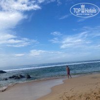 фото из отзыва ID 2279261