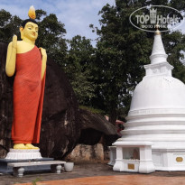 фото из отзыва ID 2279261