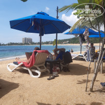 фото из отзыва ID 2279261