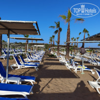 фото из отзыва ID 2279382