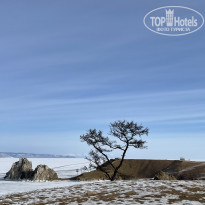 фото из отзыва ID 2279395