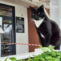 фото из отзыва ID 2279424