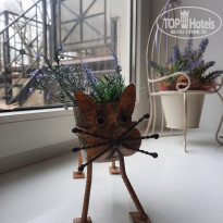 фото из отзыва ID 2279424