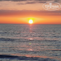 фото из отзыва ID 2279424