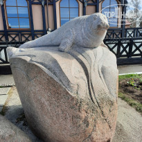 фото из отзыва ID 2279424