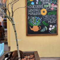 фото из отзыва ID 2279424