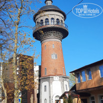 фото из отзыва ID 2279424