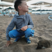 фото из отзыва ID 2279487