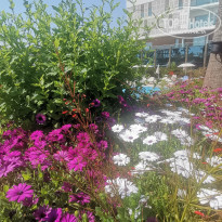 фото из отзыва ID 2279487