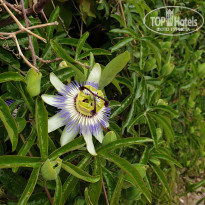 фото из отзыва ID 2279498