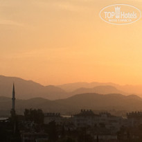 фото из отзыва ID 2279518