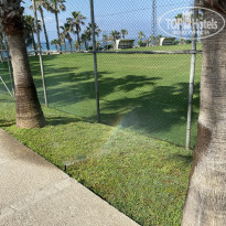 фото из отзыва ID 2279534