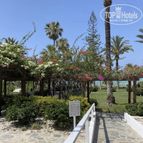 фото из отзыва ID 2279523