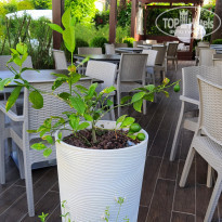 фото из отзыва ID 2278674