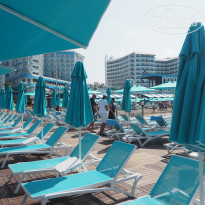 фото из отзыва ID 2279667