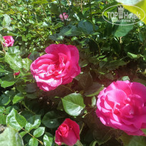 фото из отзыва ID 2279719