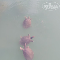 фото из отзыва ID 2279746